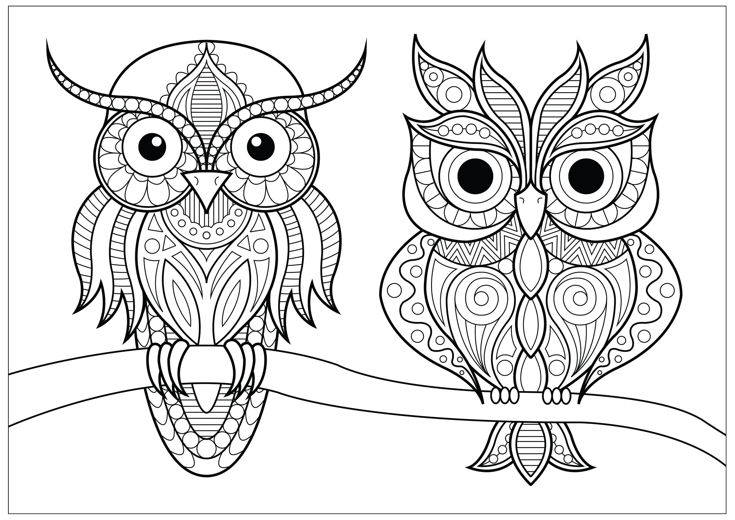 Disegni da Colorare per Adulti : Gufi - 3