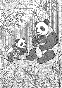Momenti di innocenza con due panda (Pagina da Colorare)