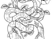Pagine Serpenti da Colorare per adultos