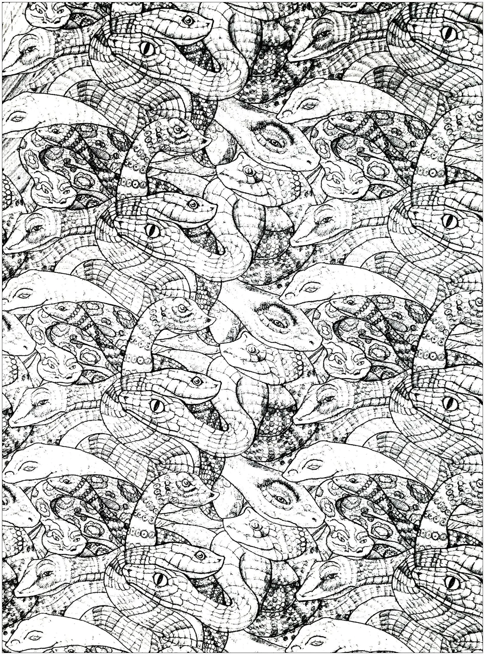 Disegno pieno di serpenti (molto complesso) (Pagina da Colorare per adultos)
