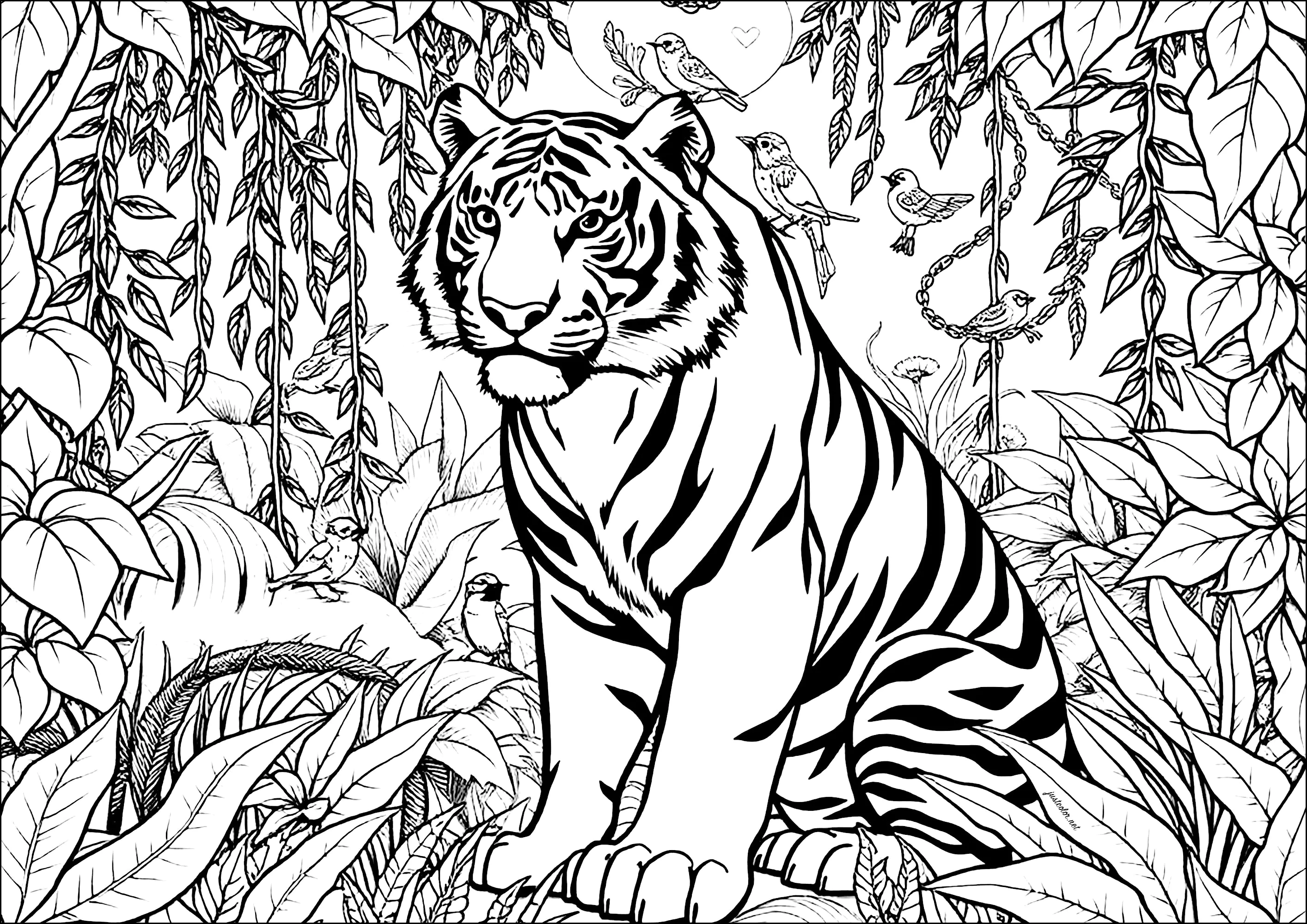 Magnifica tigre circondata da una vegetazione lussureggiante (Pagina Tigri da Colorare per adultos)
