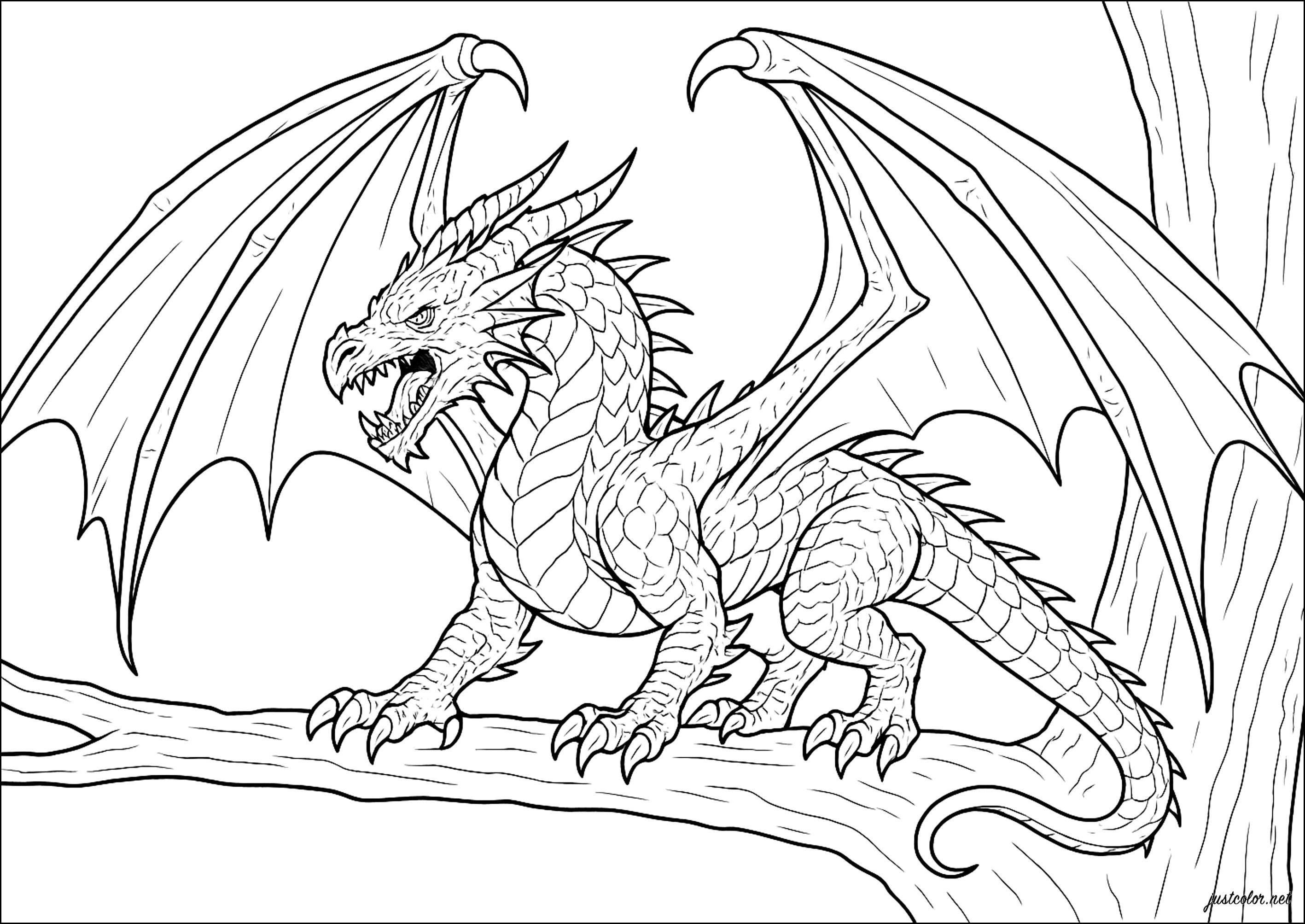 威厳ある龍が森を見守っている - 子ども向けぬりえページ：ドラゴン, image size:2834x2006