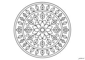 曼荼羅 生命の花