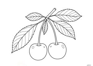 2つの可愛いさくらんぼ (子ども向けぬりえ：果物と野菜)