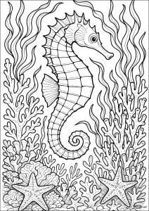 リアルなカバウマ (子ども向けぬりえ：海の生き物)