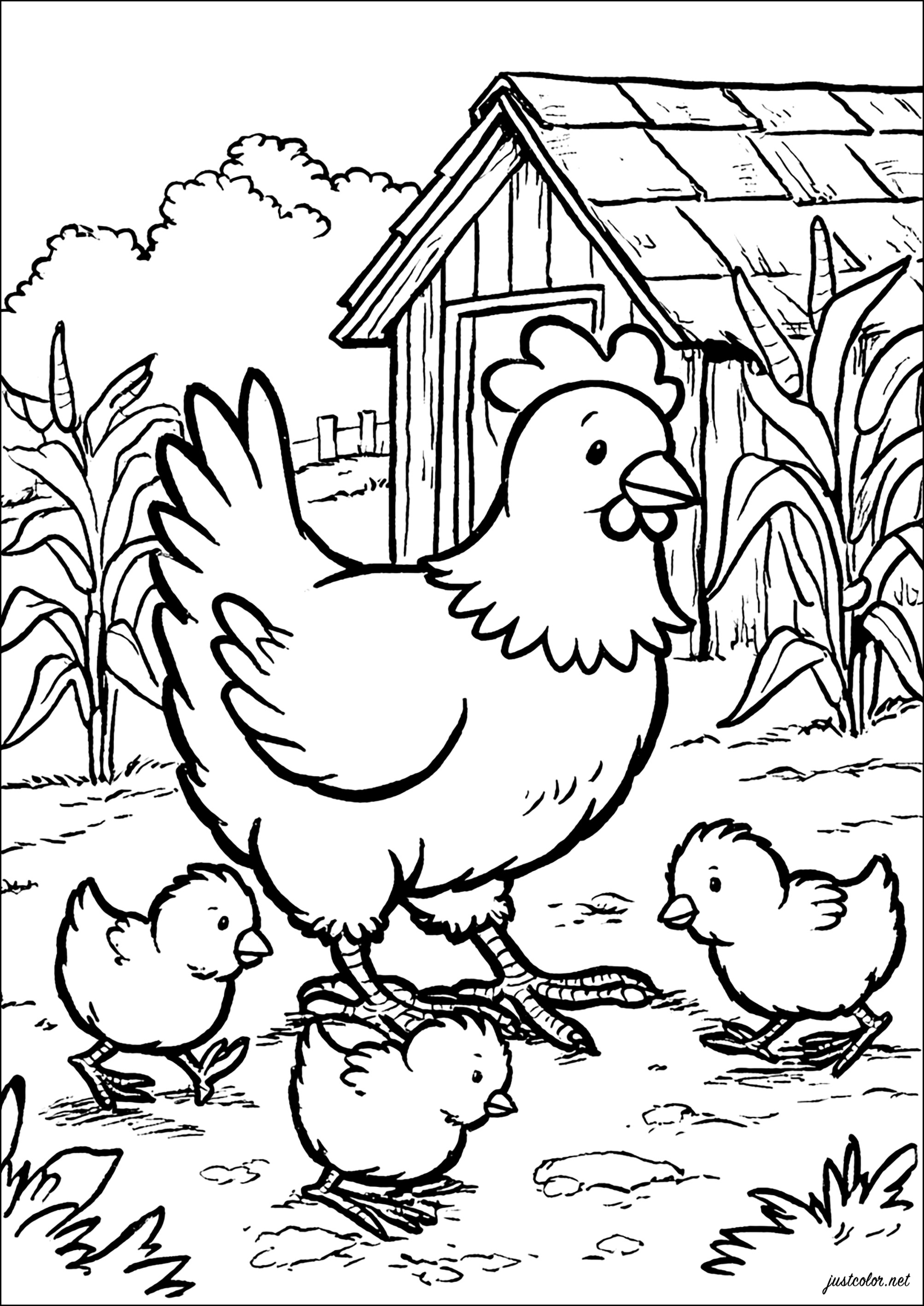 鶏とひよこが農場を探索している (子ども用印刷ぬりえ:ひよこ)