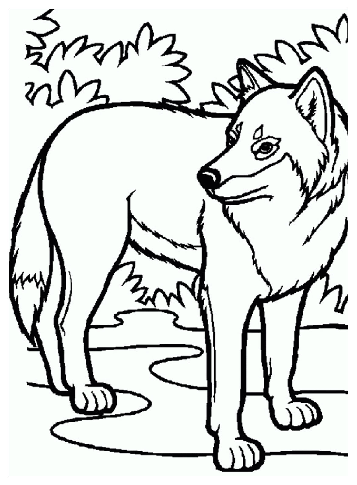 适合儿童的 オオカミ 着色页下载 (子ども用印刷ぬりえ:オオカミ)