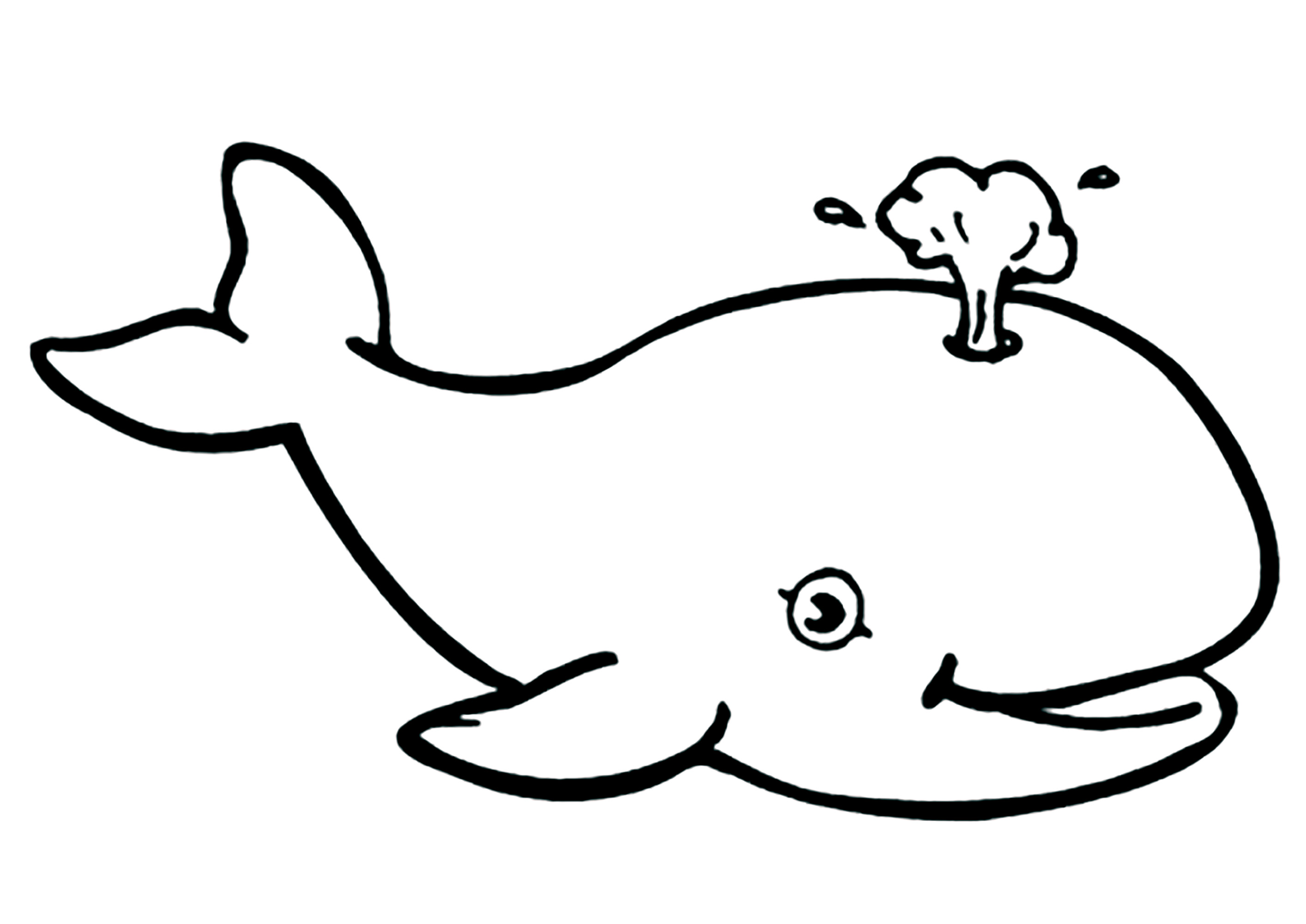 とてもシンプルな美しいクジラの水を吐き出す塗り絵 (子ども用印刷ぬりえ:クジラ)