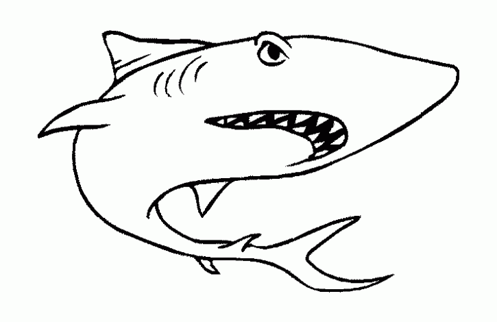 サメの画像をダウンロードして塗り絵 (子ども用印刷ぬりえ：サメ)