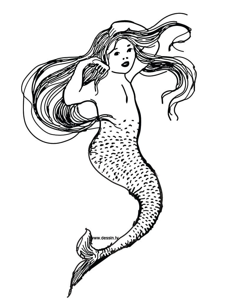 简单的 人魚 着色页下载 (子ども用印刷ぬりえ:人魚)