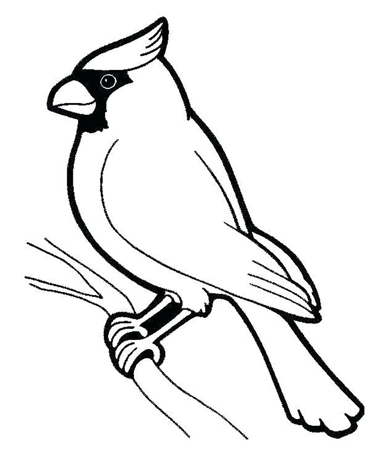 有趣的 鳥 着色页,儿童可打印 (子ども用印刷ぬりえ:鳥)