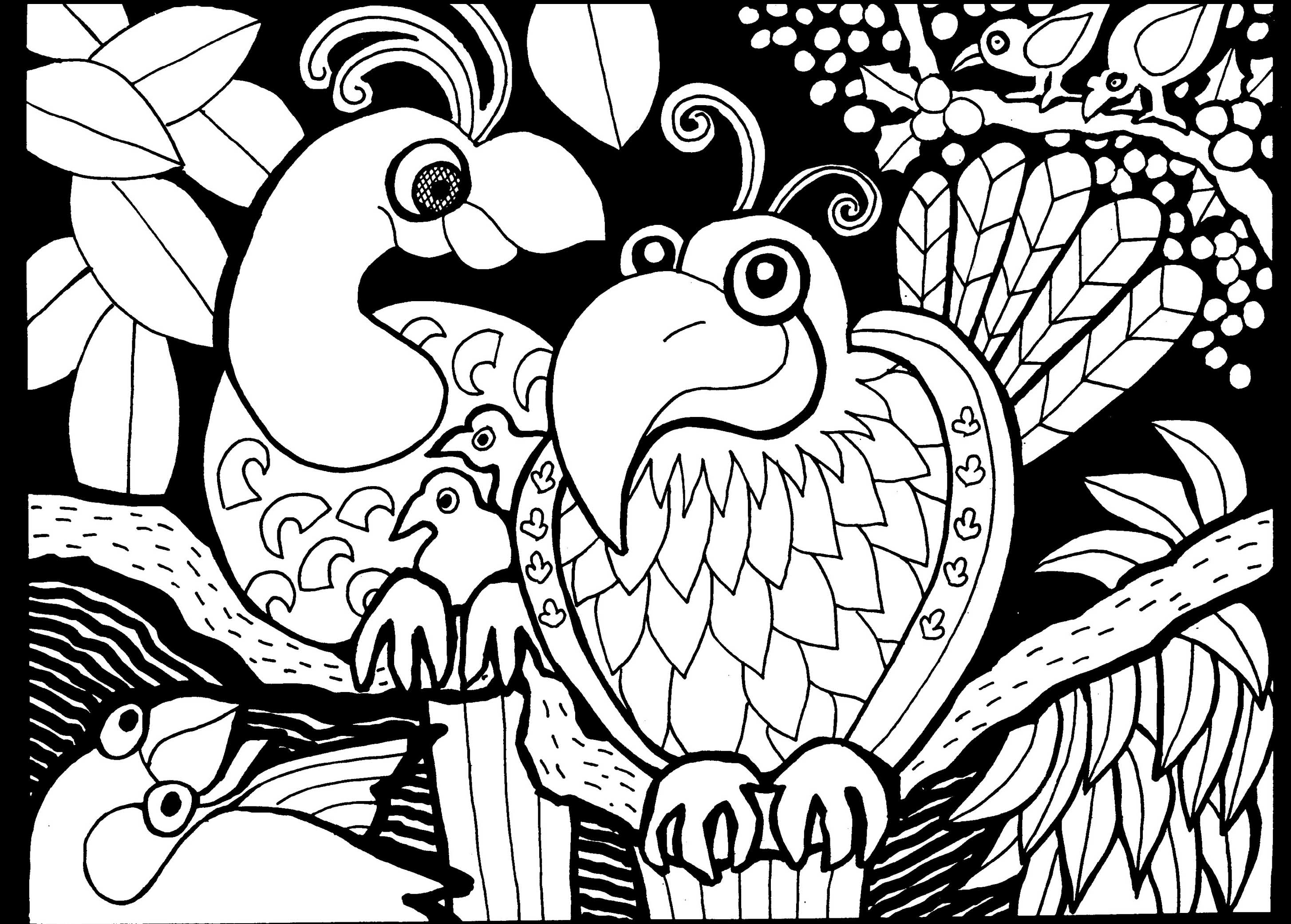 装飾羽の鳥 (複雑なぬりえ アフリカ 大人向け印刷用)