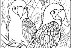 複雑なぬりえページ 鳥 大人向け印刷用