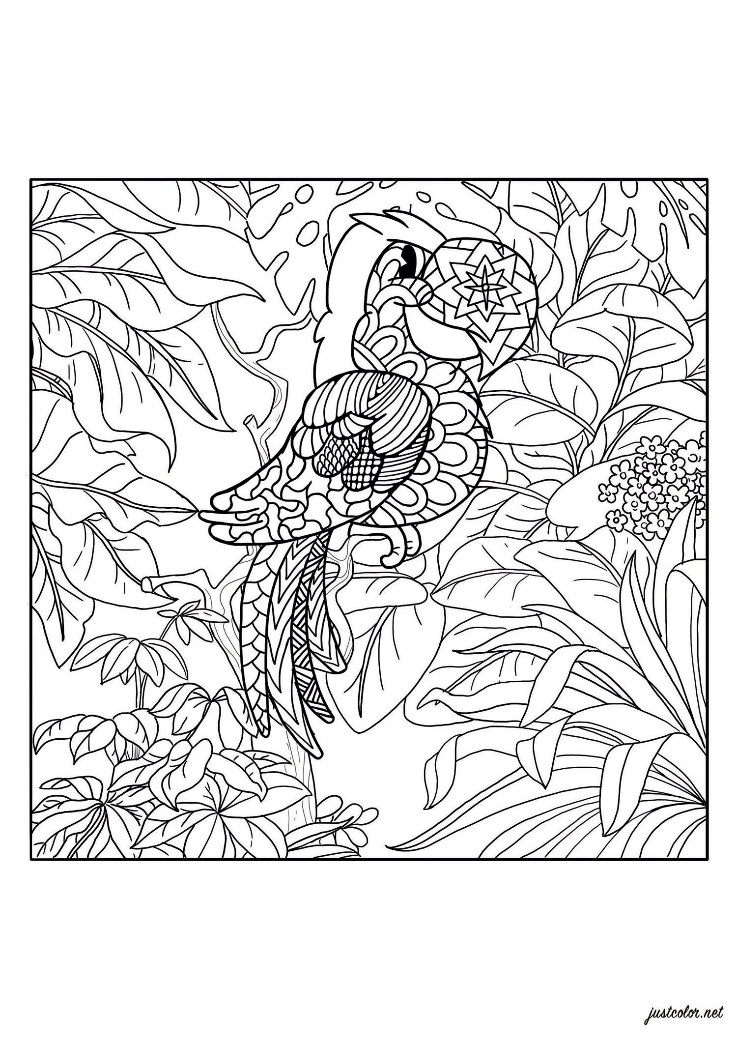 ジャングルのオウム (ぬりえ 鳥 大人向け印刷用)