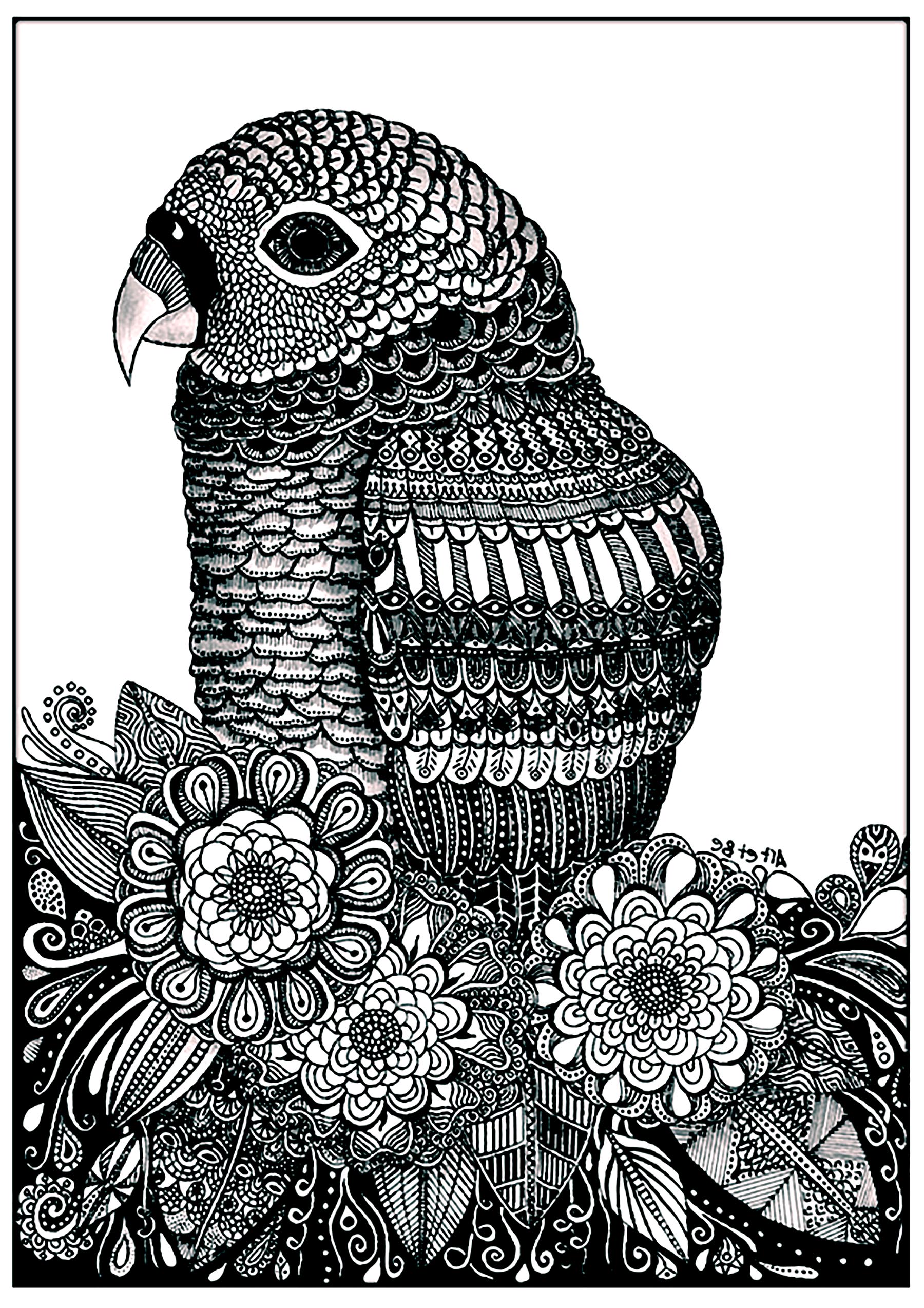 無料でダウンロードできる鳥のぬりえイラスト (鳥)