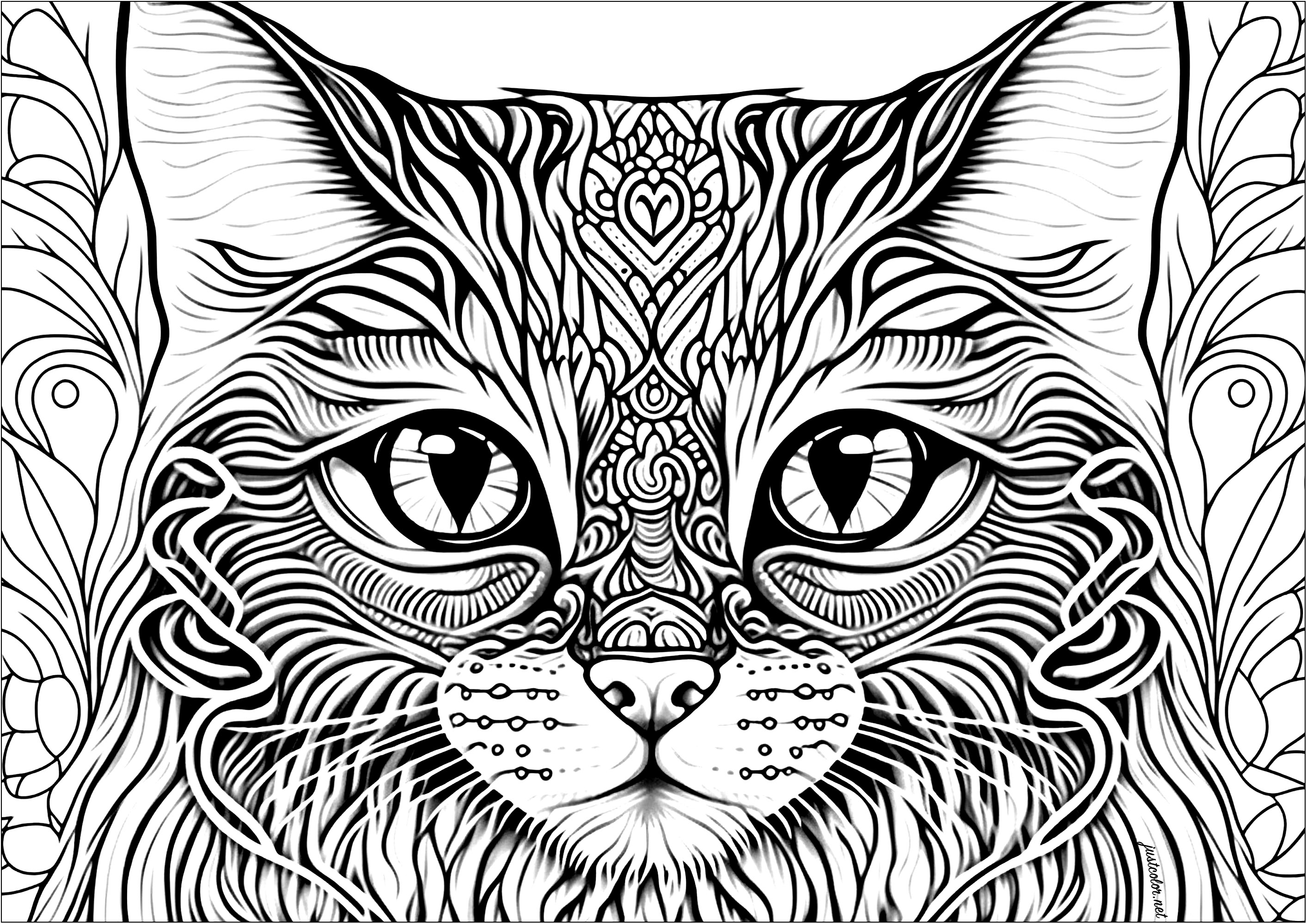 複雑な模様の猫の頭 (複雑なぬりえ 猫 大人向け印刷用)
