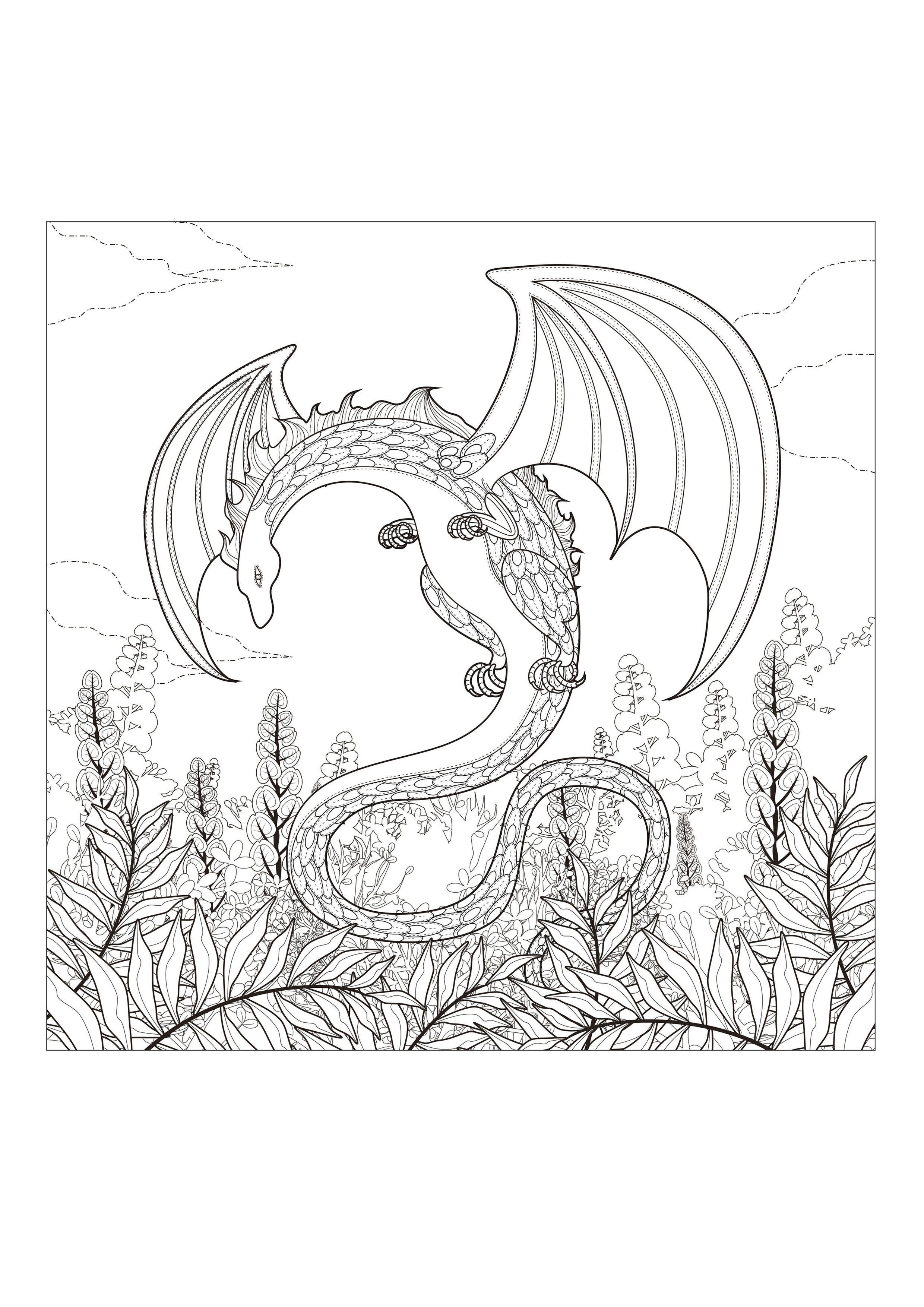 詳細なドラゴンの塗り絵 (ぬりえ ドラゴンズ 大人向け印刷用)