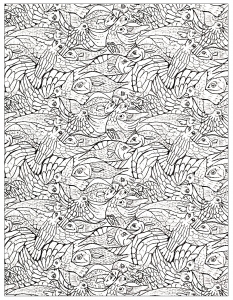 塗り絵用の魚がたくさん (ぬりえ 魚類 印刷用)