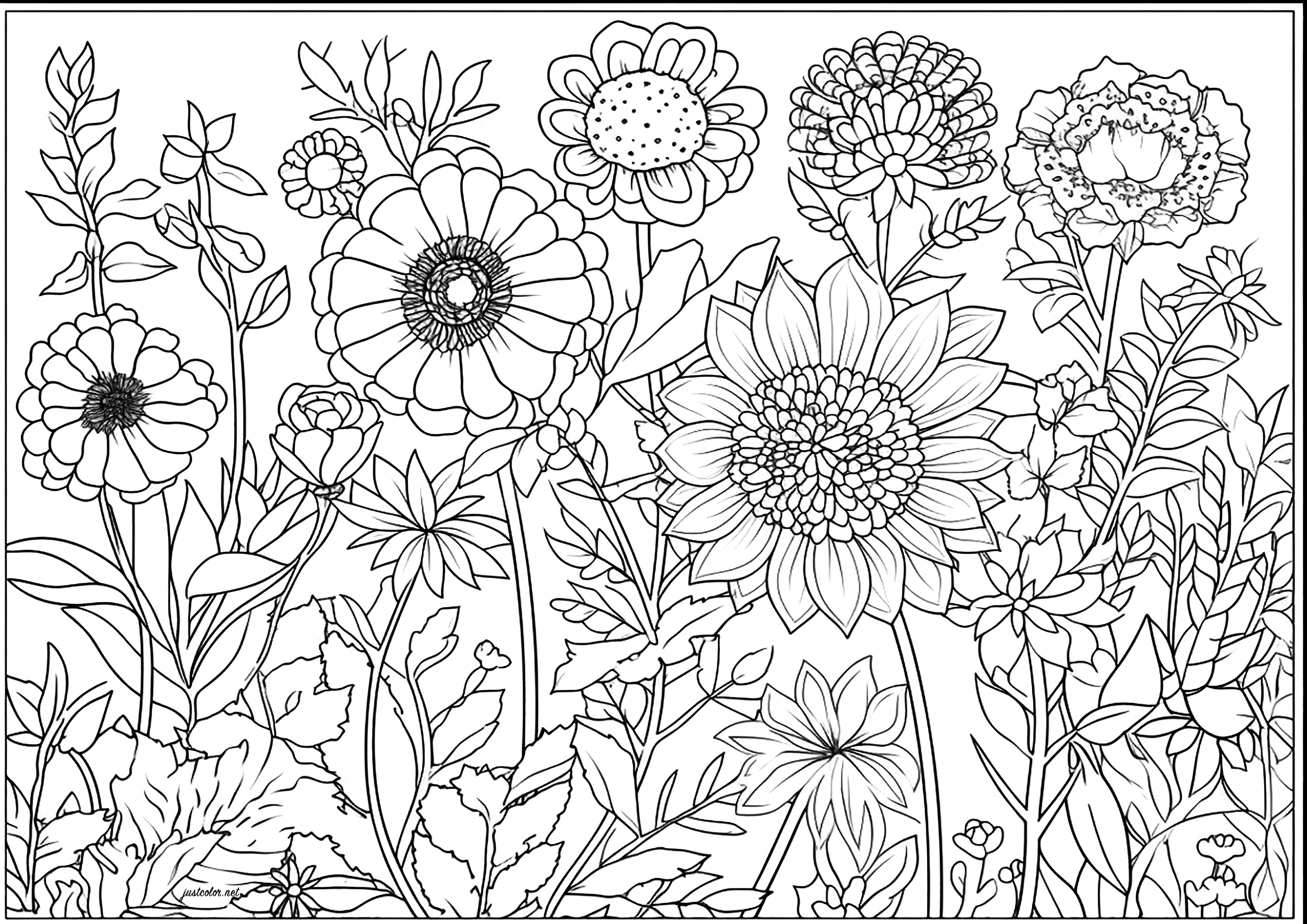美しく数多くの花 (ぬりえ 花と植物 大人向け印刷用)