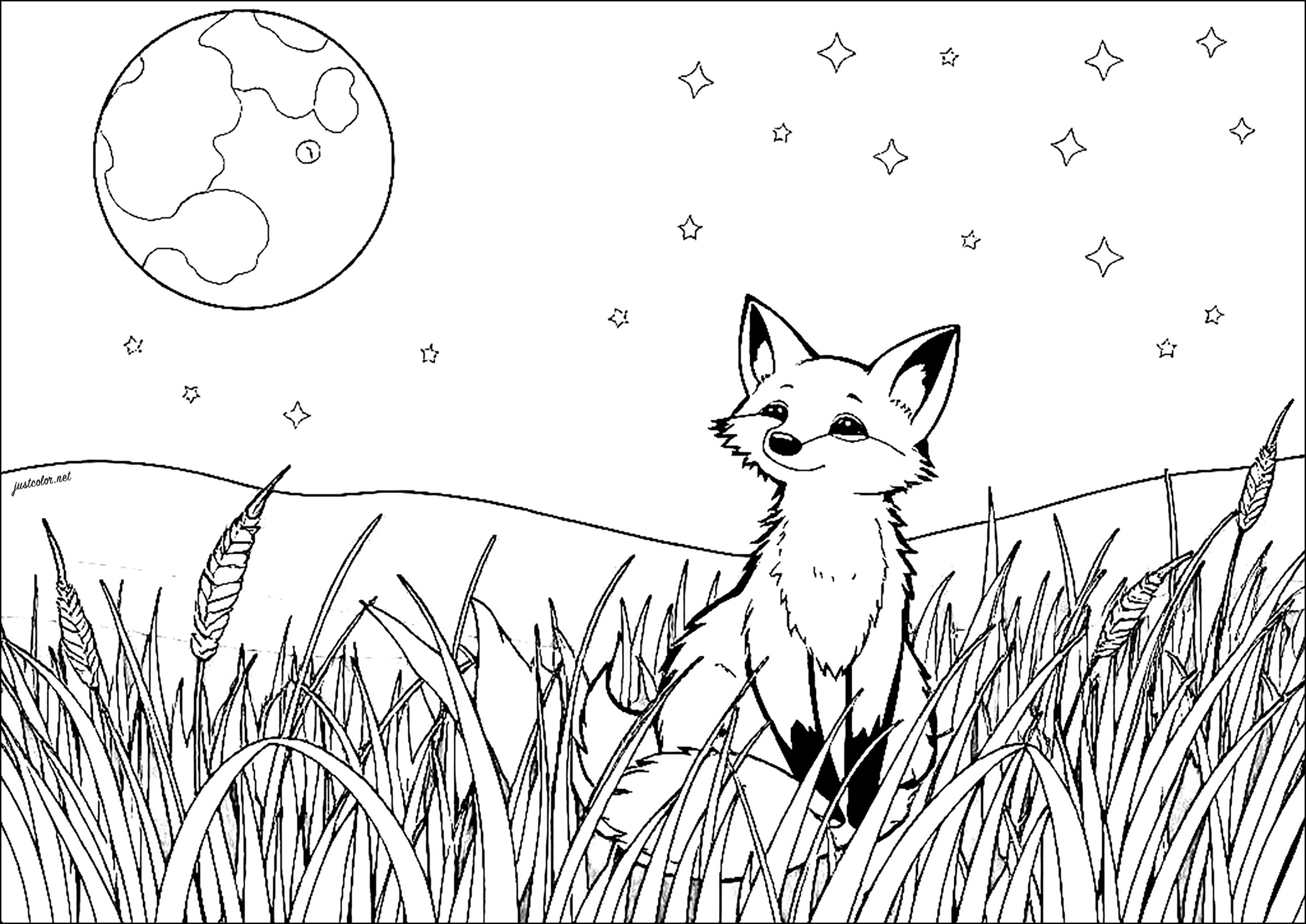 月を見つめる狐 (ぬりえ キツネ 大人向け印刷用)