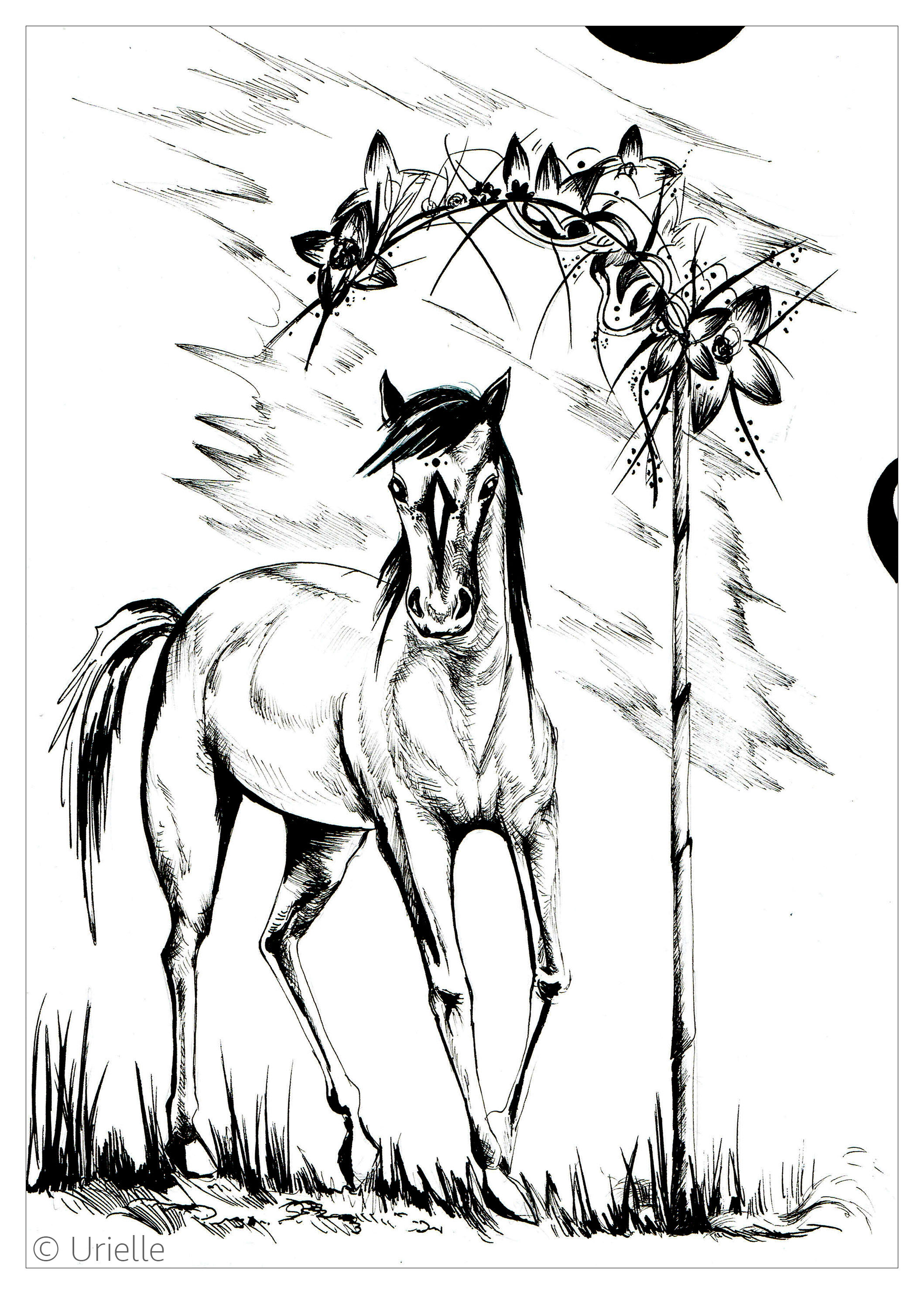 威風堂々とした馬 (ぬりえ 馬 大人向け印刷用)