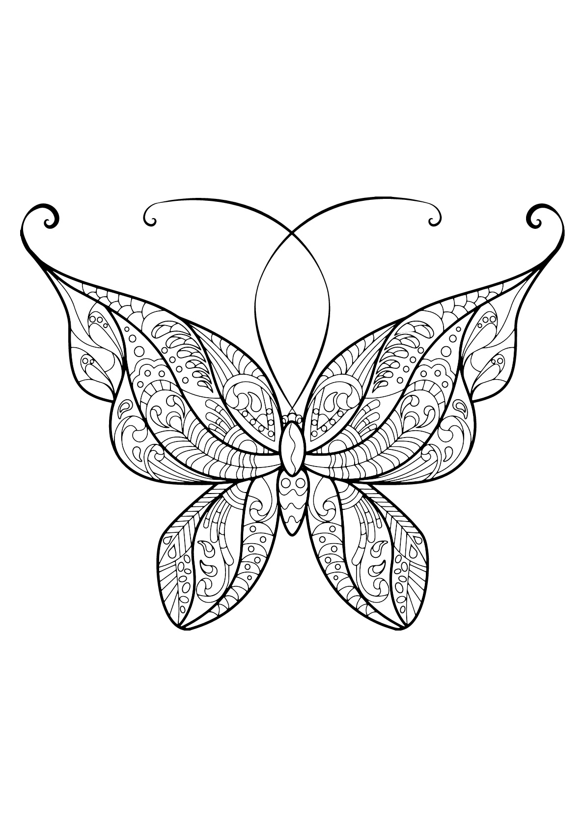 無料で印刷して塗れる蝶と昆虫のぬりえイラスト (蝶と昆虫)