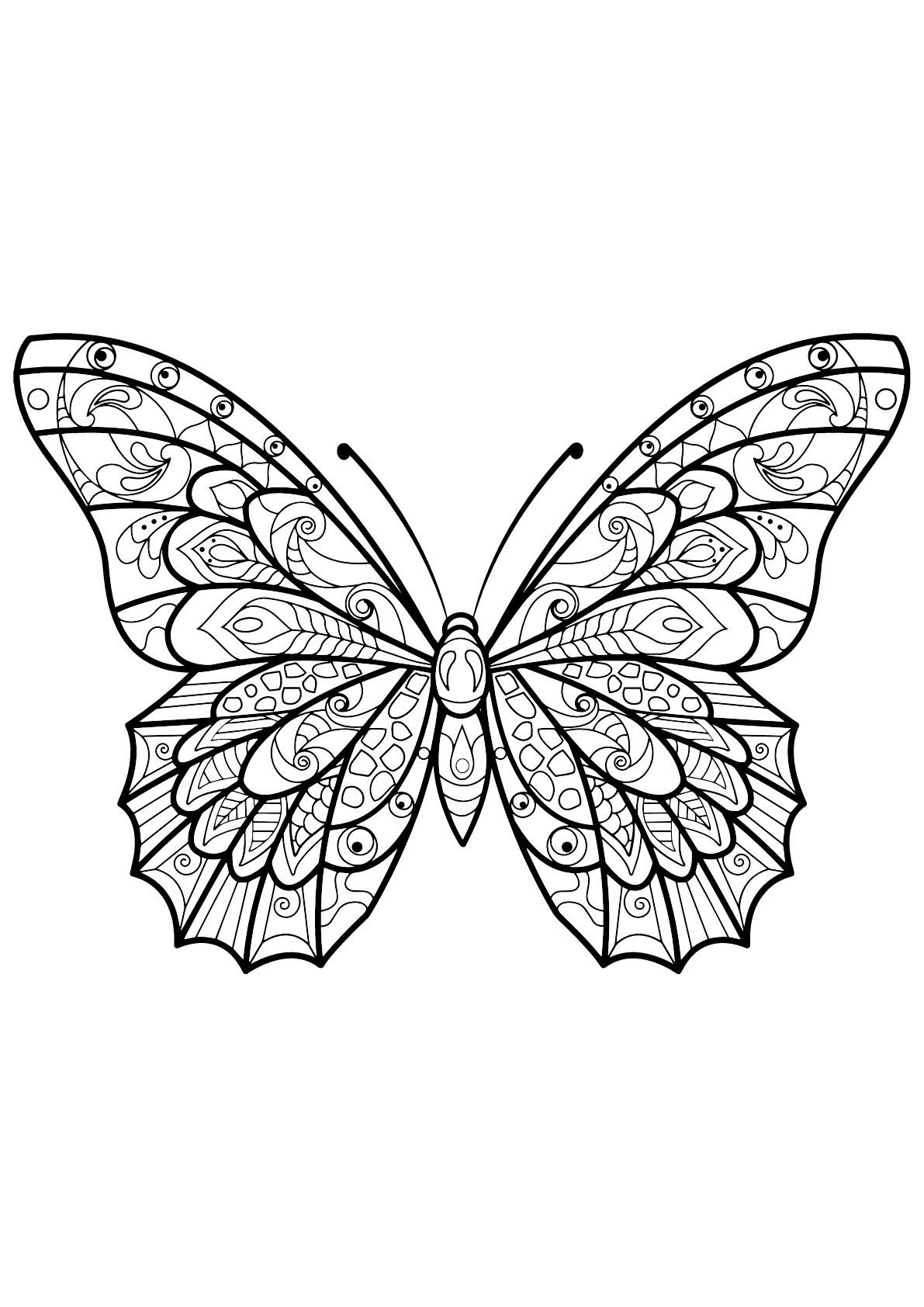 きれいな模様の塗り絵用ちょうちょ (ぬりえ 蝶と昆虫 大人向け印刷用)