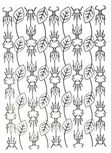 印刷して塗れるシンプルな蝶と昆虫のぬりえイラスト (ぬりえ 蝶と昆虫 印刷用)