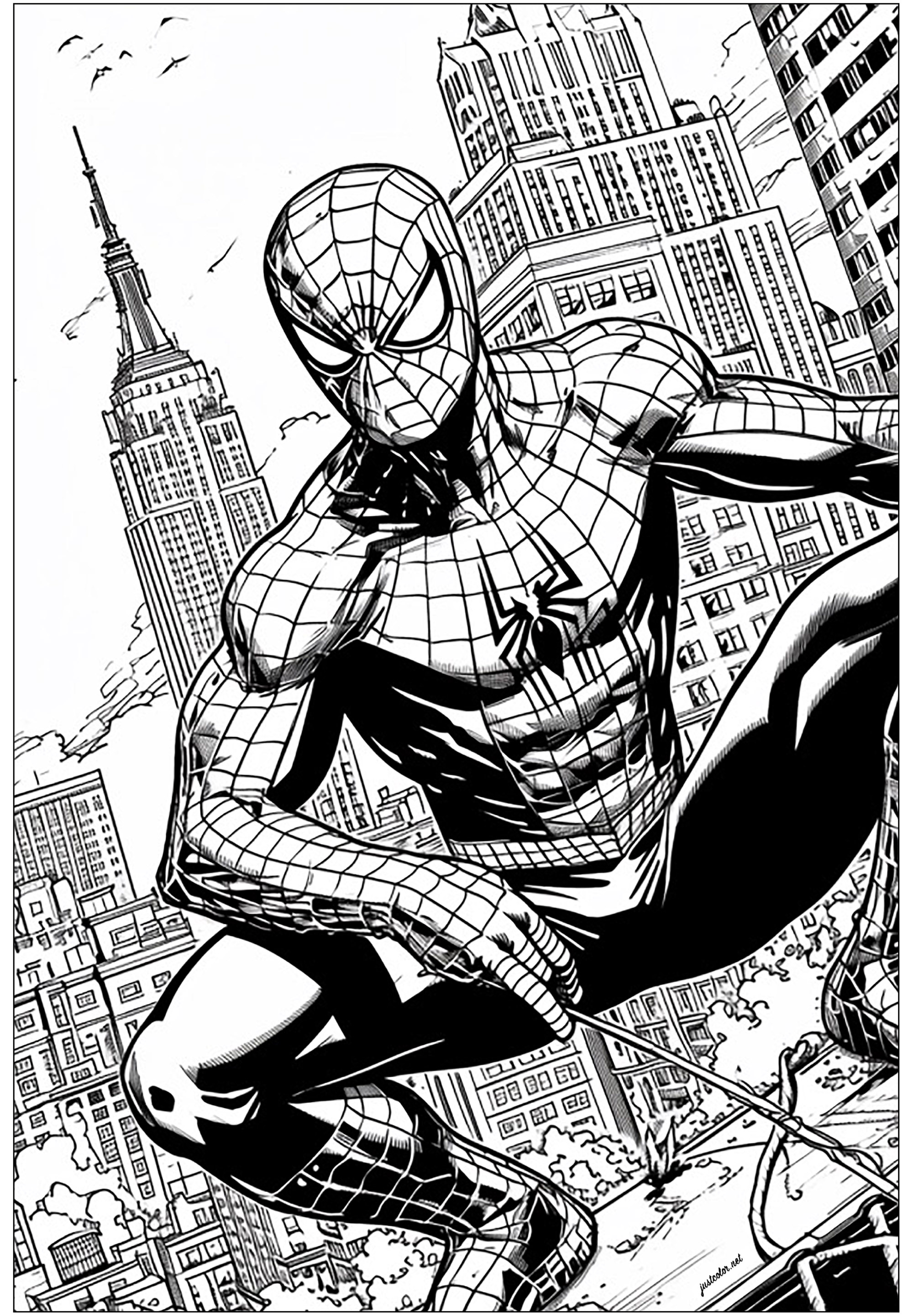 スパイダーマンとエンパイア・ステート・ビルディングの背景 (ぬりえ 本とコミック 大人向け印刷用)