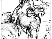 ぬりえページ その他の動物 大人向け印刷用