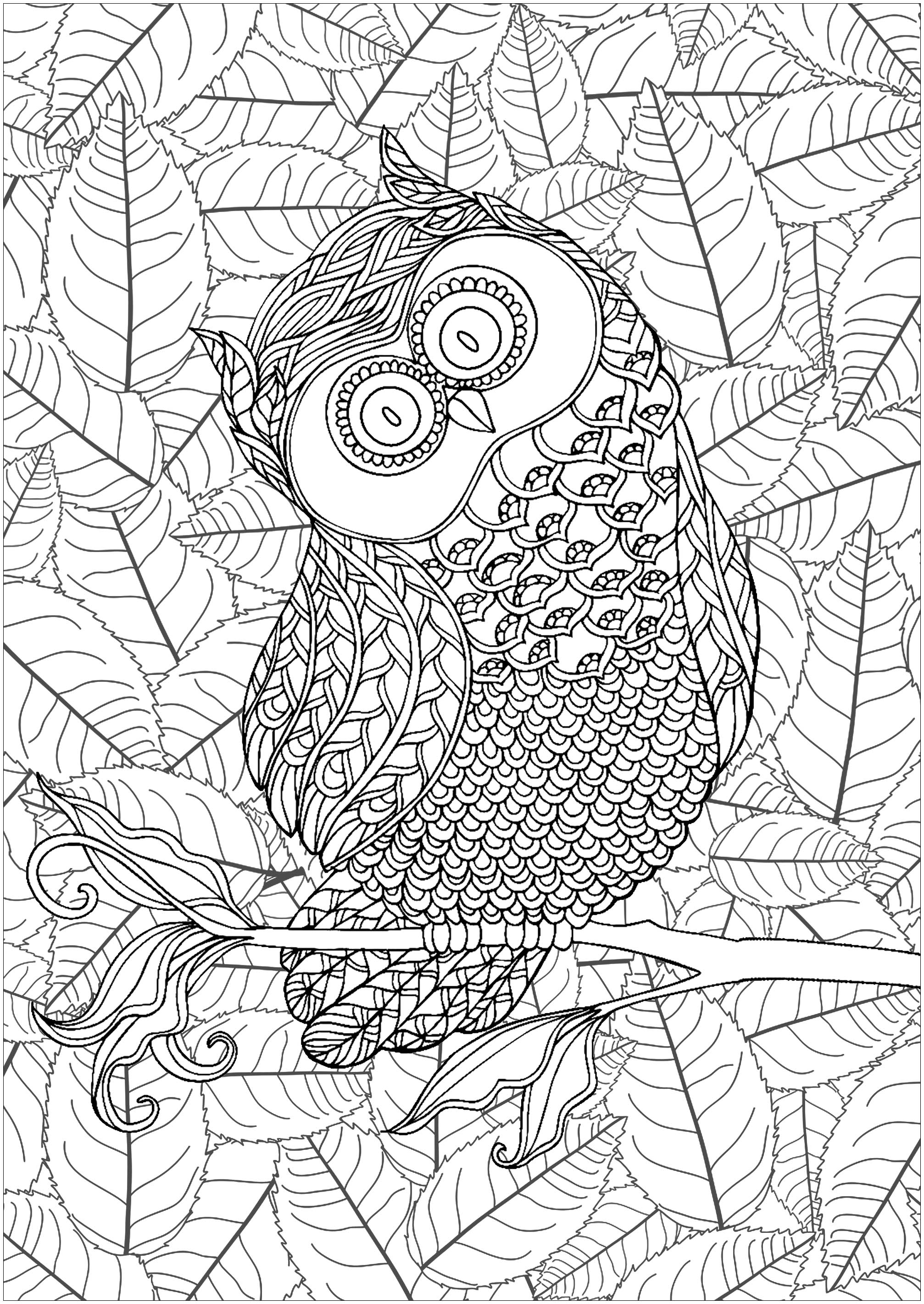 フクロウと背景の葉 (複雑なぬりえ フクロウ 大人向け印刷用)