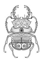 印刷可能なぬりえページ : カブトムシ