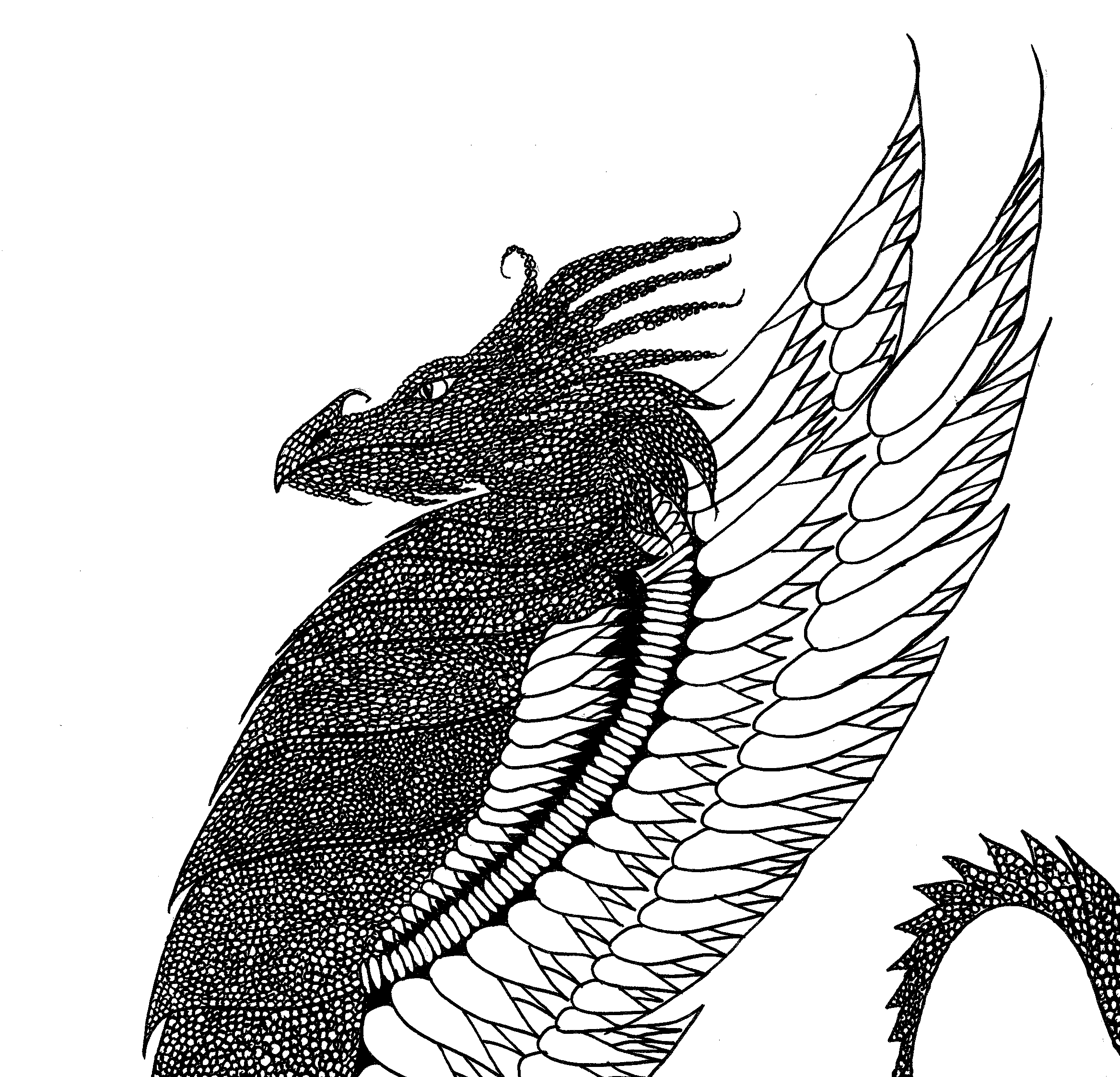 For kids (Printable Adult Coloring Page for Kids)