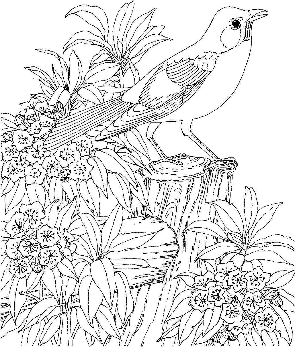 Funny Adult coloring page for kids