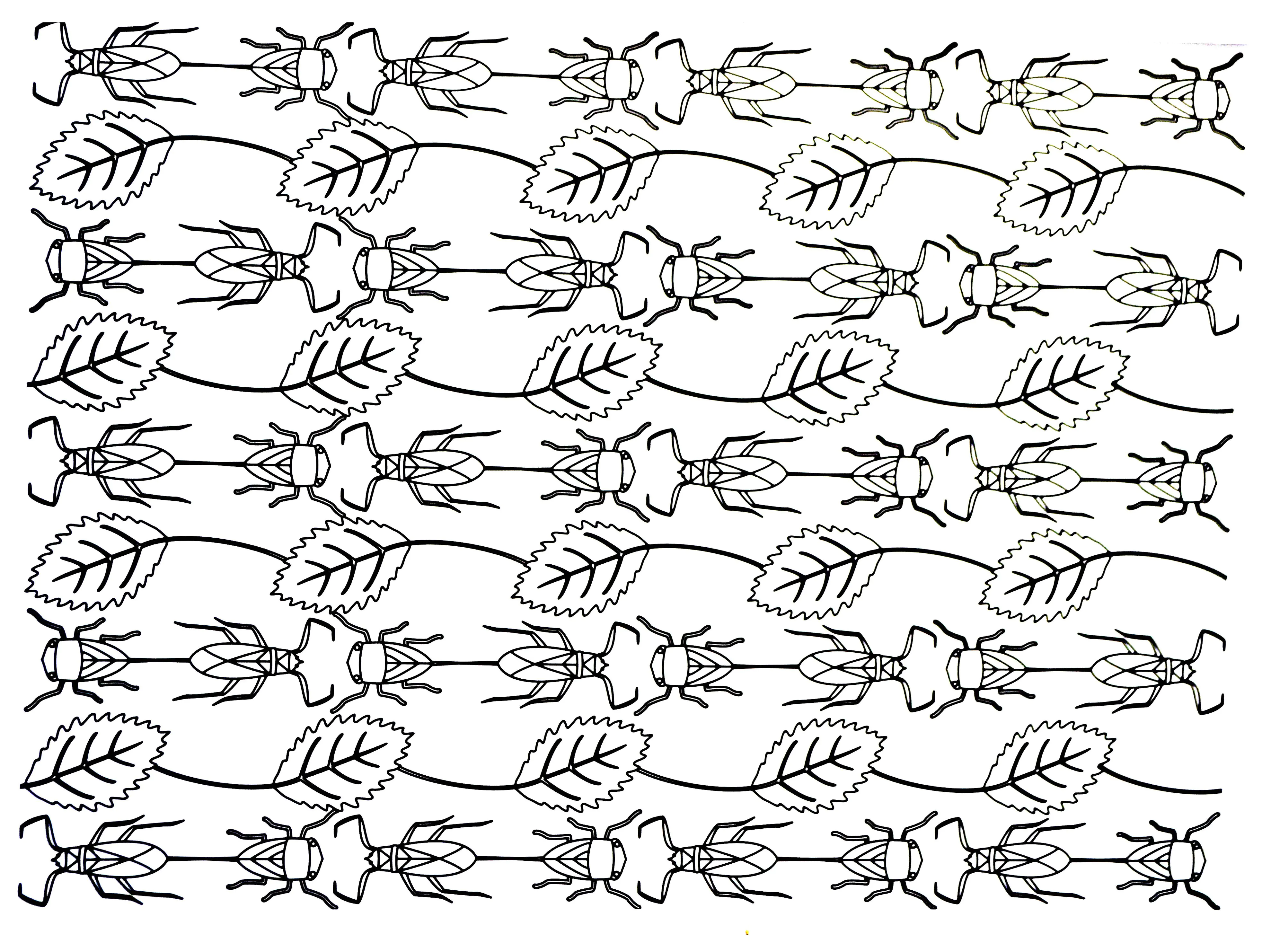 To download (Printable Adult Coloring Page for Kids)