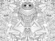 Adult Coloring Pages for Kids