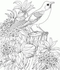 Coloring page adult to color for kids