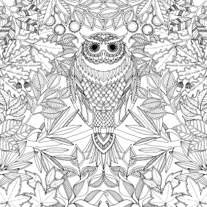 Coloring page adult to download