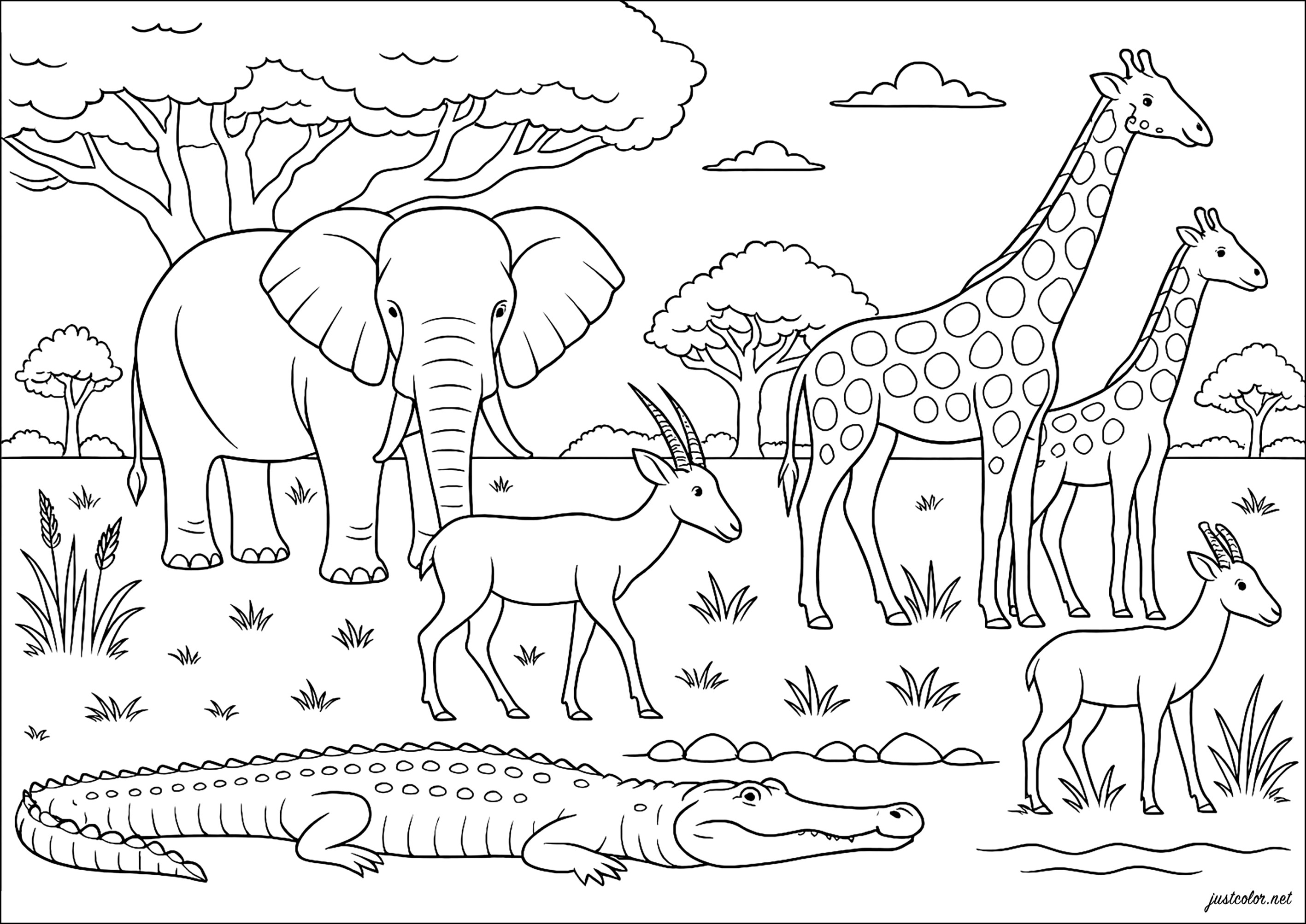 African Safari Animals Coloring Pages African Safari Coloring Pages At