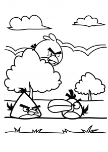 Coloring page angry birds for children