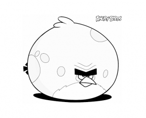 Coloring page angry birds for children