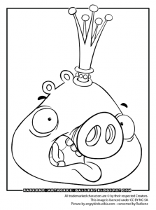 Angry birds coloring page for kids