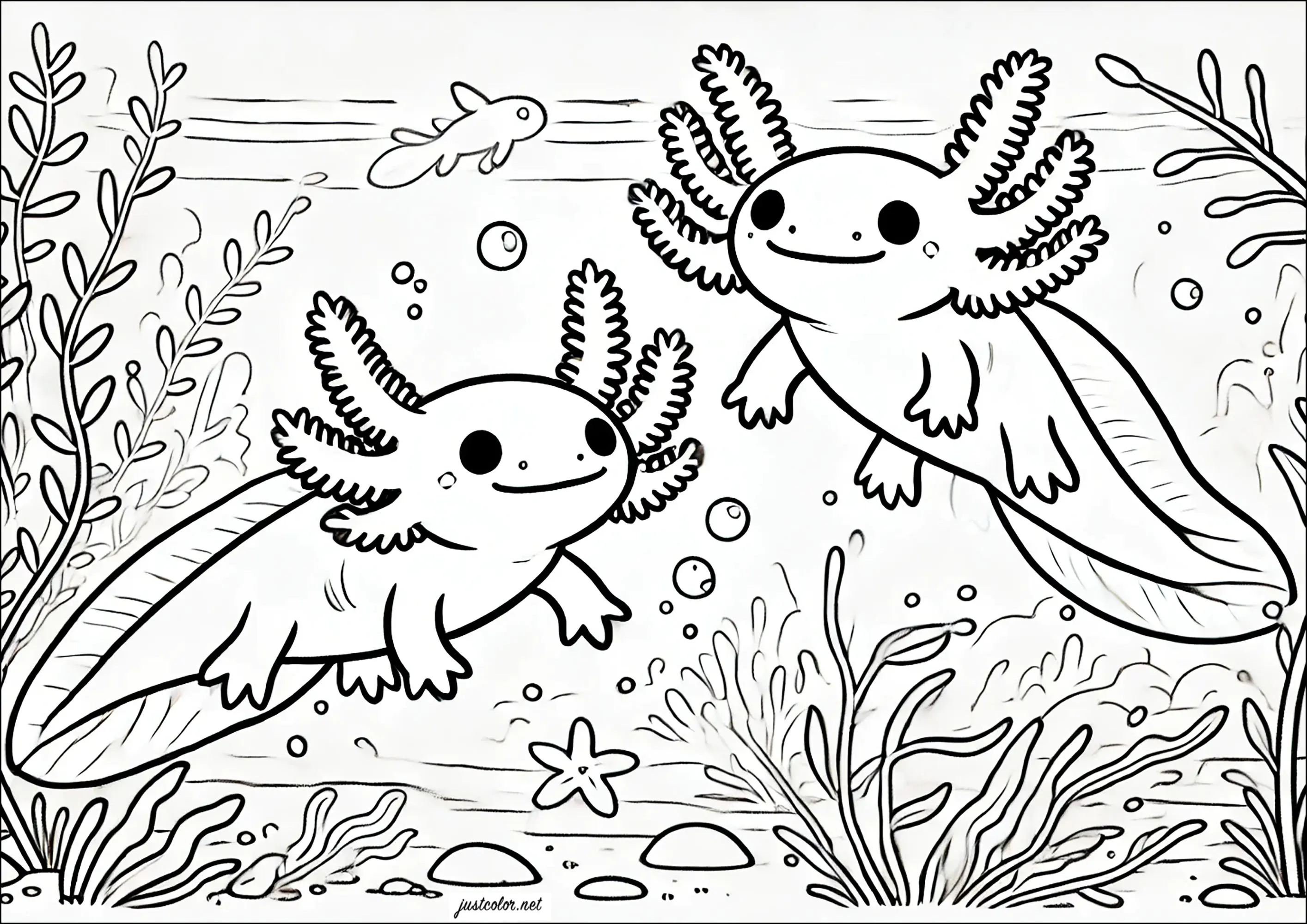 Two axolotis (Printable Axolotl Coloring Page for Kids)