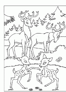 Free Bambi drawing to download and color