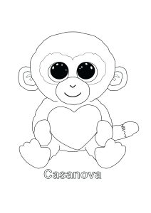 Casanova (Monkey)