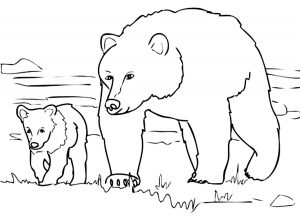 Coloring page bears to print