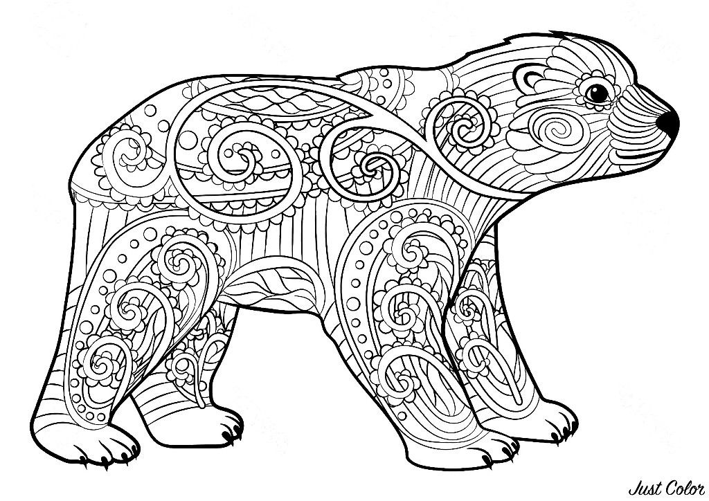 52 Coloring Pages For Bears Images & Pictures In HD