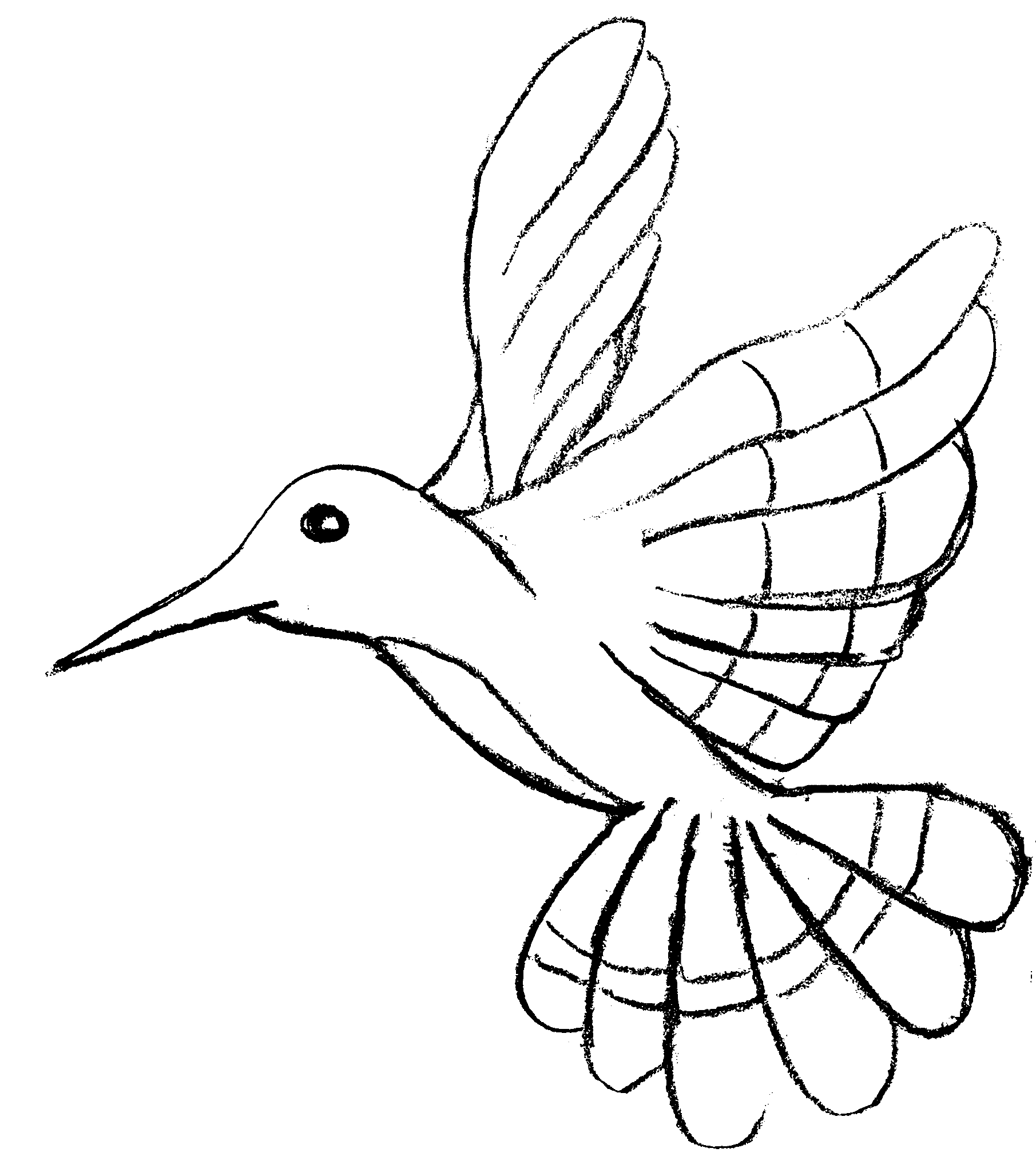 Free Birds coloring page to print and color