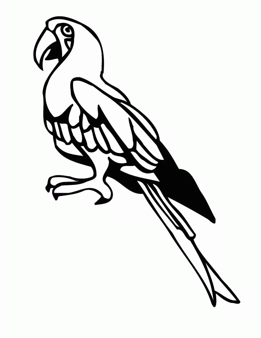 Cute Parrot (Printable Bird Coloring Page for Kids)