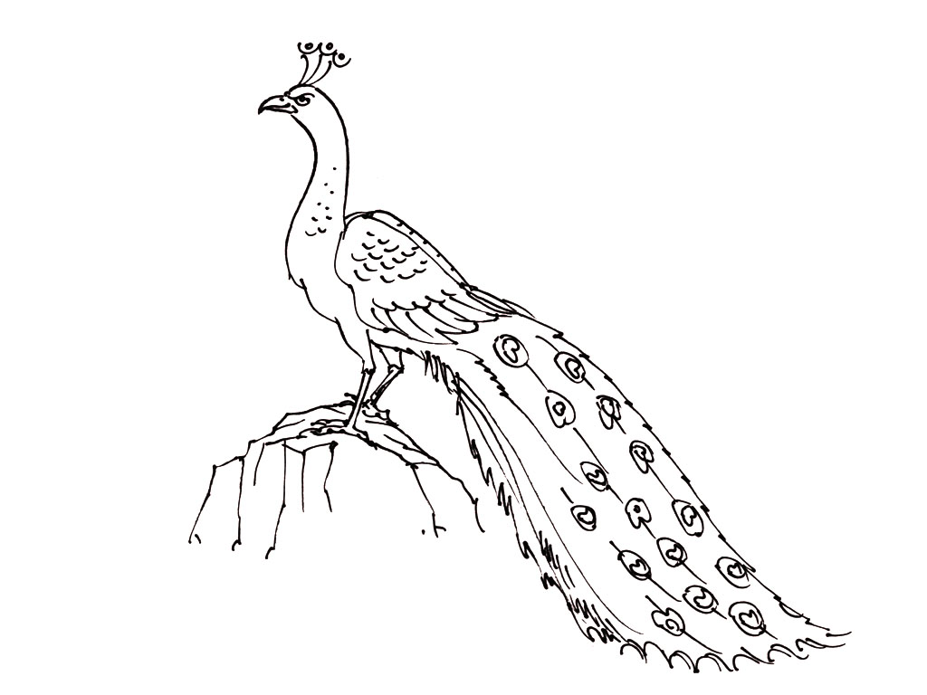 Simple Birds coloring page for children